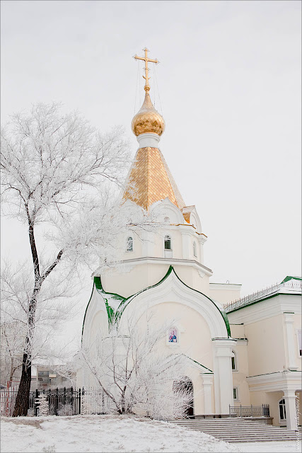 Хабаровск. Церковь Иннокентия, митрополита Московского при Хабаровской духовной семинарии. архитектурные детали