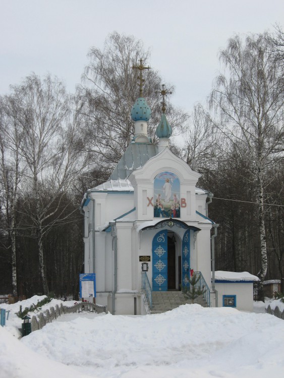Пенза. Церковь Сергия Радонежского на Ново-Западном кладбище. общий вид в ландшафте