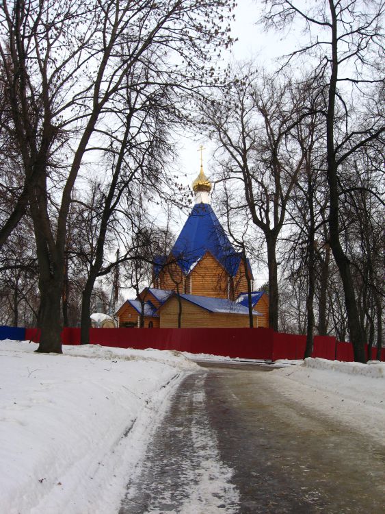 Церковь Благовещения Пресвятой Богородицы при кафедральном соборе, Пенза (Пенза, город, Пензенская область). общий вид в ландшафте