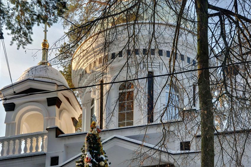 Церковь Вячеслава Чешского, Барвиха, деревня (Одинцовский городской округ и ЗАТО Власиха, Краснознаменск, Московская область). архитектурные детали