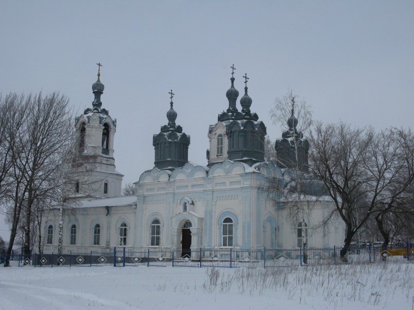 Церковь Михаила Архангела, Башмаково (Башмаковский район, Пензенская область). общий вид в ландшафте