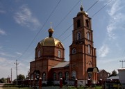 Чистопольские Выселки. Троицы Живоначальной, церковь