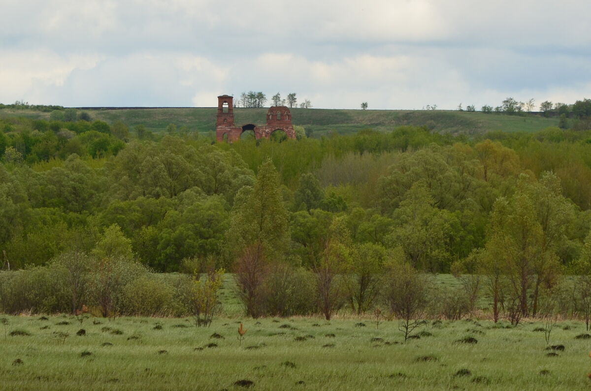 Церковь Казанской иконы Божией Матери, Мерлинка (Лунинский район, Пензенская область). общий вид в ландшафте, Вид с а/д Синорово - Суворово