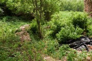 Успенское. Успения Пресвятой Богородицы, церковь
