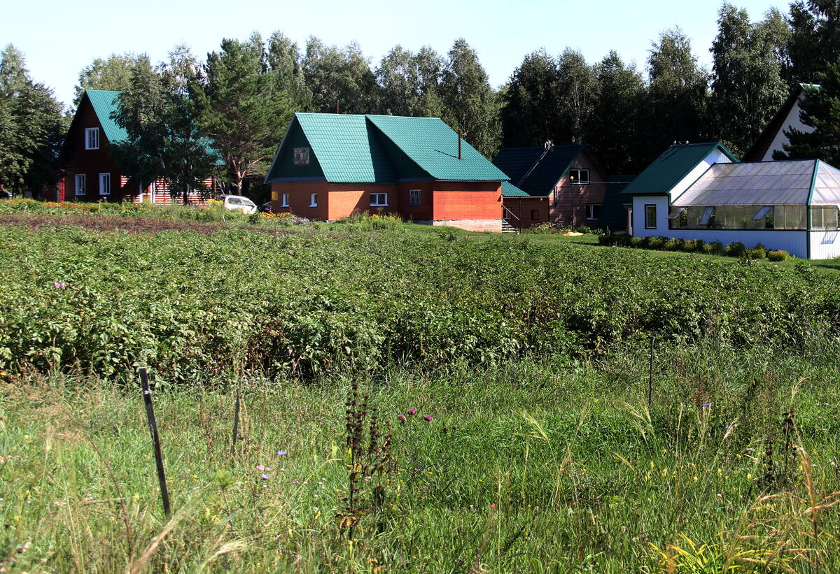 Богородице-Казанский Иоанно-Предтеченский женский скит, Сорочий Лог (Первомайский район, Алтайский край). дополнительная информация