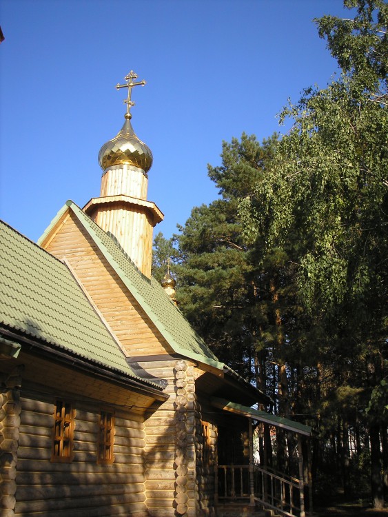 Церковь Рождества Пресвятой Богородицы в Мирном, Саратов (Саратов, город, Саратовская область). архитектурные детали