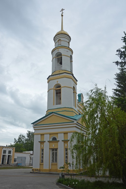 Волжский (Большая Царевщина). Церковь Рождества Христова. фасады