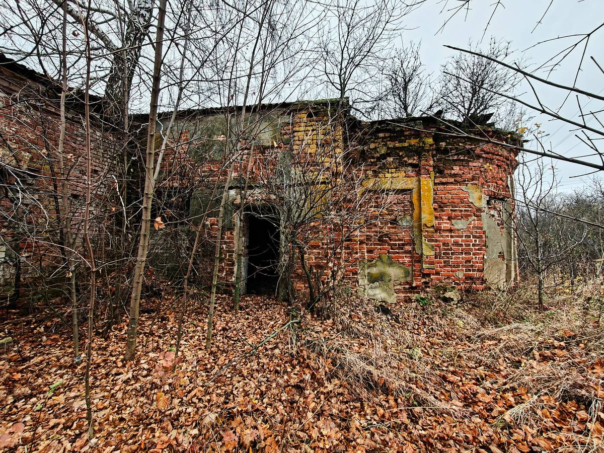 Церковь Николая Чудотворца, Кобылино (Ухоловский район, Рязанская область). архитектурные детали