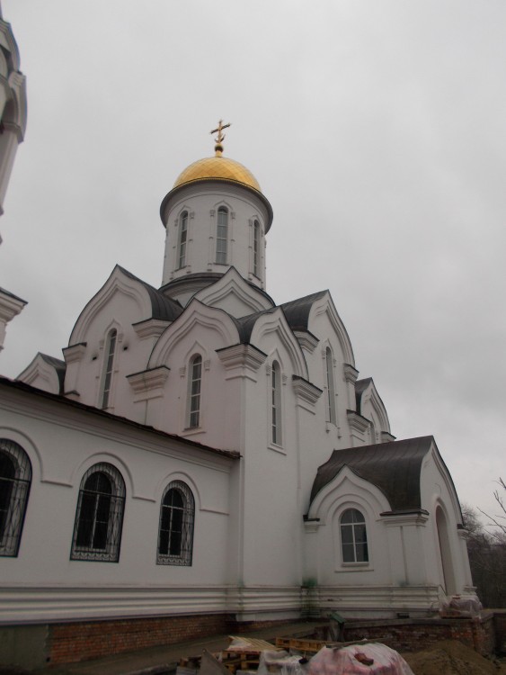 Саратов. Церковь Петра и Павла. фасады