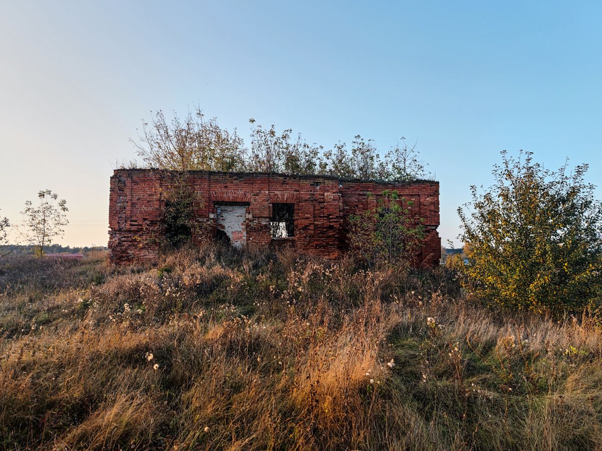Церковь Введения во храм Пресвятой Богородицы, Введеновка (Ряжский район, Рязанская область). фасады