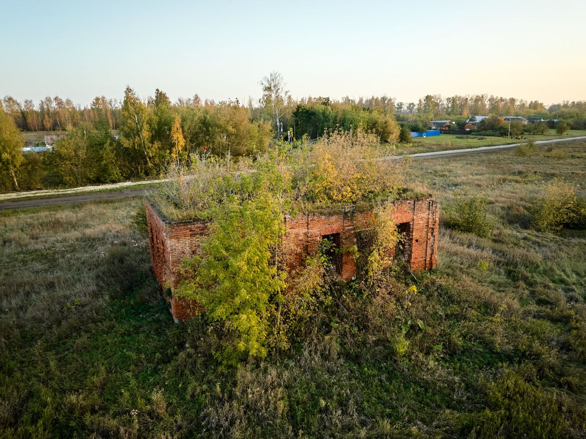 Церковь Введения во храм Пресвятой Богородицы, Введеновка (Ряжский район, Рязанская область). фасады
