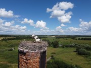 Церковь Сретения Господня, , Нивны, Арсеньевский район, Тульская область