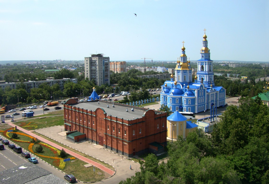 Кафедральный собор Вознесения Господня (новый), Ульяновск (Ульяновск, город, Ульяновская область). общий вид в ландшафте, Ласточка над храмом