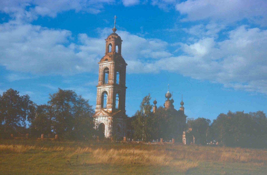 Церковь Петра и Павла, Петропавловское (Некрасовский район, Ярославская область). общий вид в ландшафте