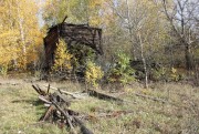 Церковь Воскресения Христова - Салаур - Шиловский район - Рязанская область