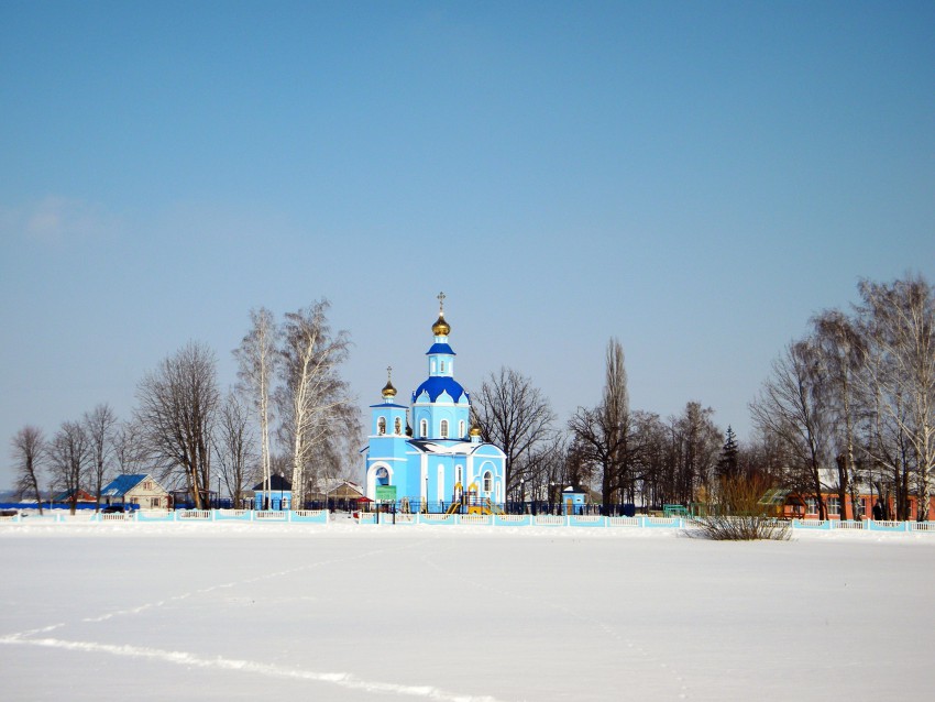 Сетище. Церковь Покрова Пресвятой Богородицы. общий вид в ландшафте