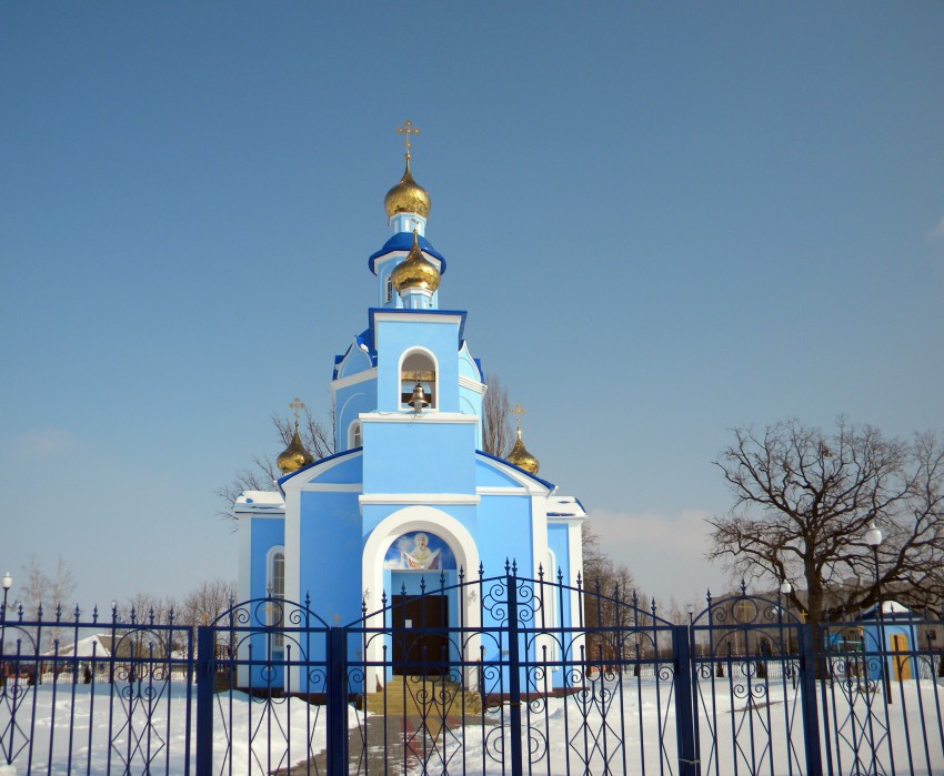 Сетище. Церковь Покрова Пресвятой Богородицы. общий вид в ландшафте