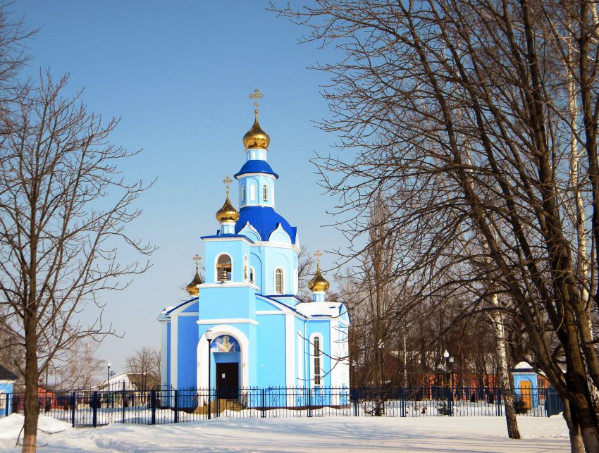 Сетище. Церковь Покрова Пресвятой Богородицы. общий вид в ландшафте