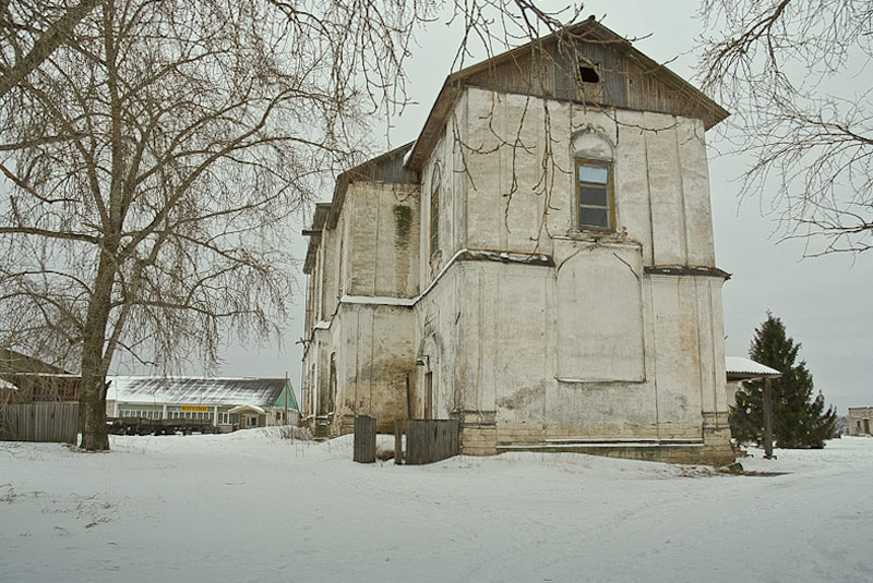 Церковь Благовещения Пресвятой Богородицы, Благовещенское (Вельский район, Архангельская область). общий вид в ландшафте