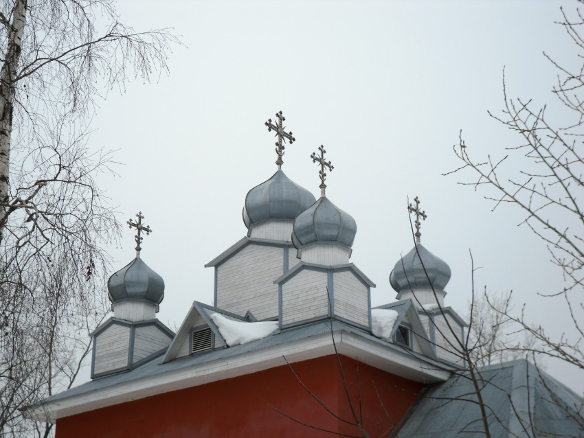 Пермь. Церковь Андроника, архиепископа Пермского во Владимирском. архитектурные детали, купола 