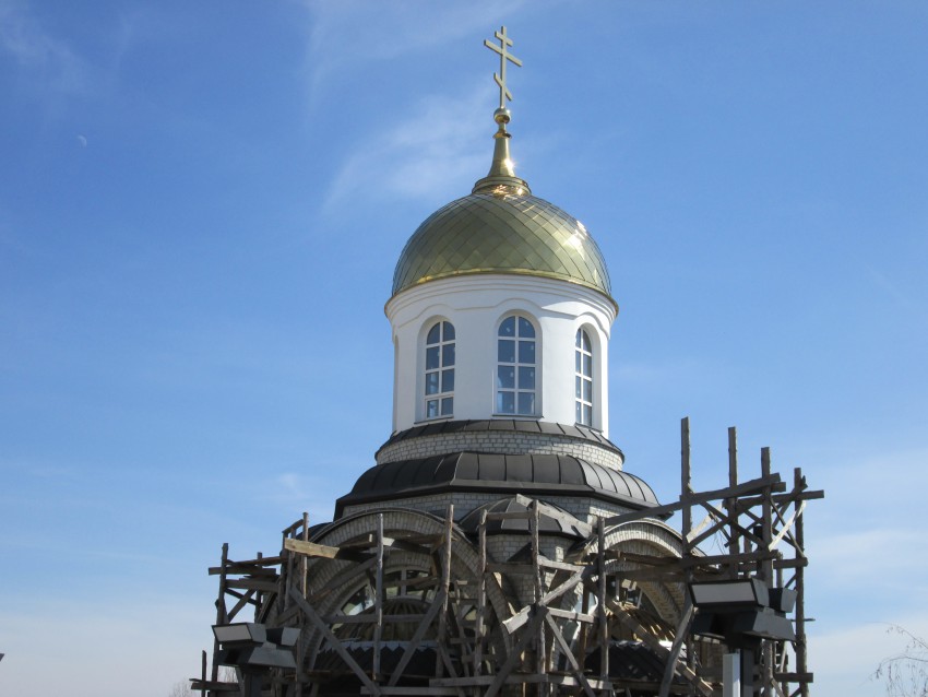 Воронеж. Церковь Димитрия Донского. документальные фотографии