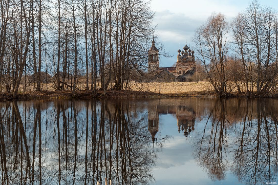 Синёво-Дуброво. Церковь Тихвинской иконы Божией Матери. общий вид в ландшафте