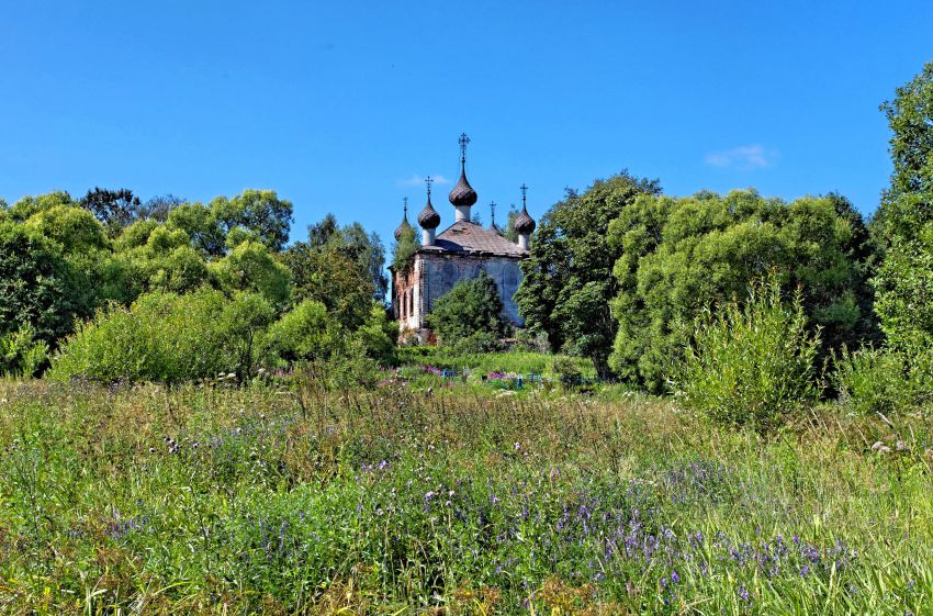 Васьянское. Церковь Михаила Архангела. общий вид в ландшафте