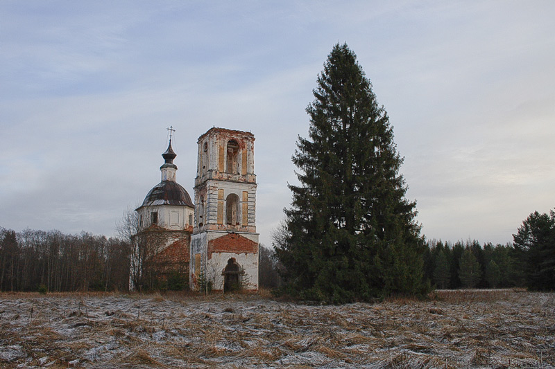 Церковь Воскресения Христова, Пожары, урочище (Бабаевский район, Вологодская область). общий вид в ландшафте