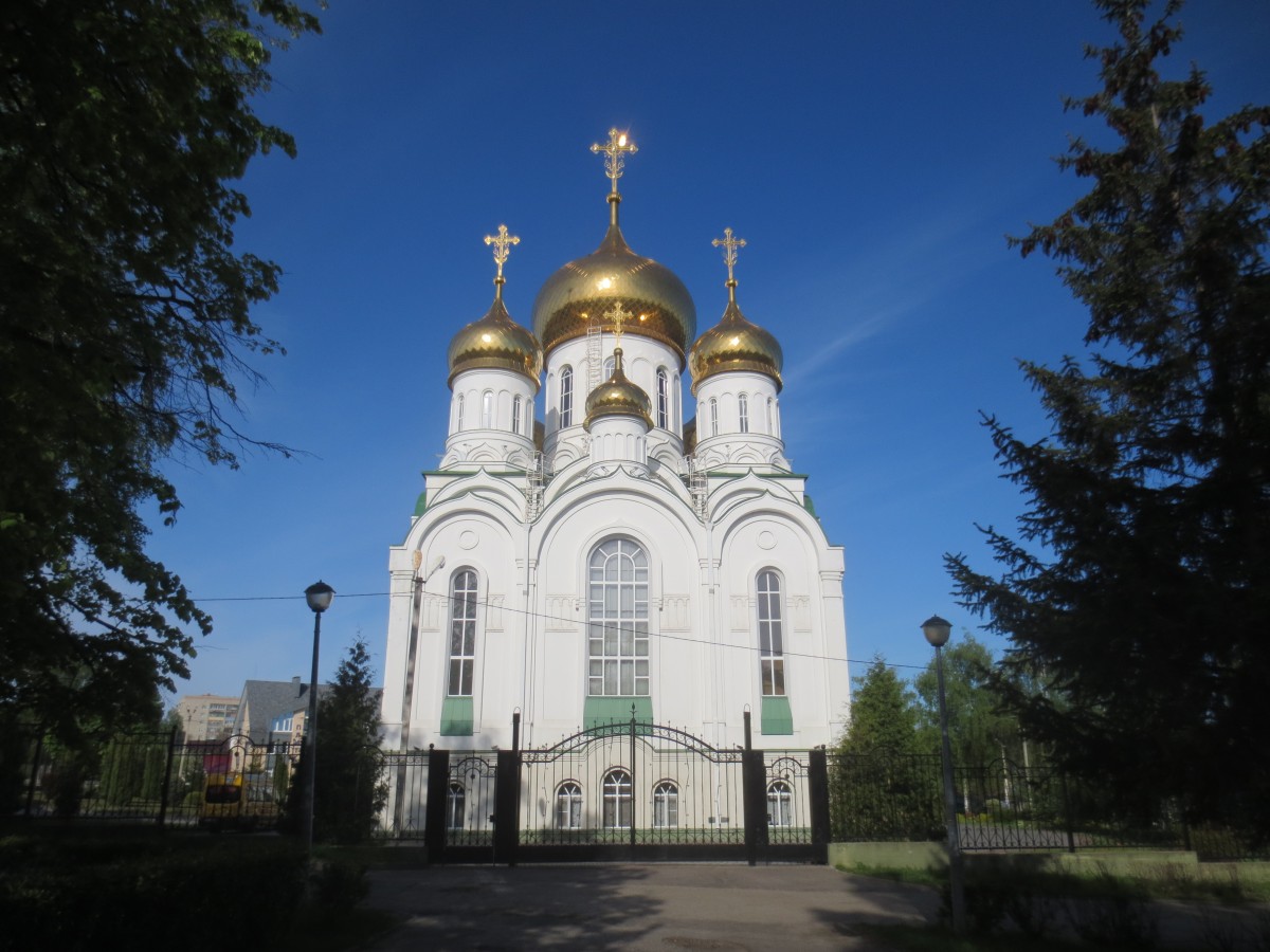 Церковь Троицы Живоначальной (новая), Тамбов (Тамбов, город, Тамбовская область). фасады