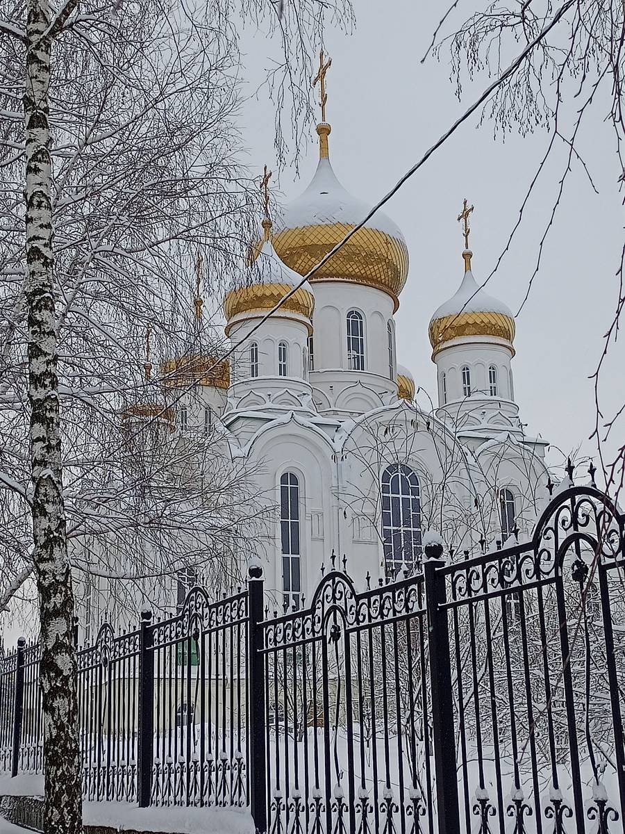 фасады. Церковь Троицы Живоначальной (новая), Тамбов (Тамбов, город, Тамбовская область)