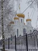 Тамбов. Троицы Живоначальной (новая), церковь