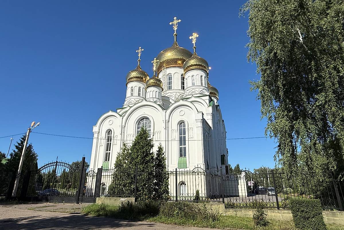 фасады. Церковь Троицы Живоначальной (новая), Тамбов (Тамбов, город, Тамбовская область)