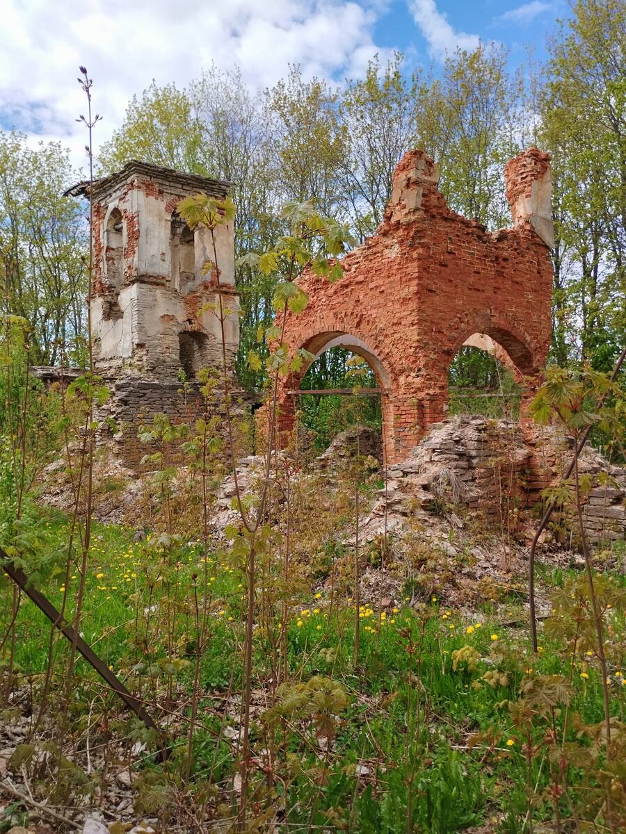 Церковь Илии Пророка, Верхолино (Верхние Олины) (Псковский район, Псковская область). фасады