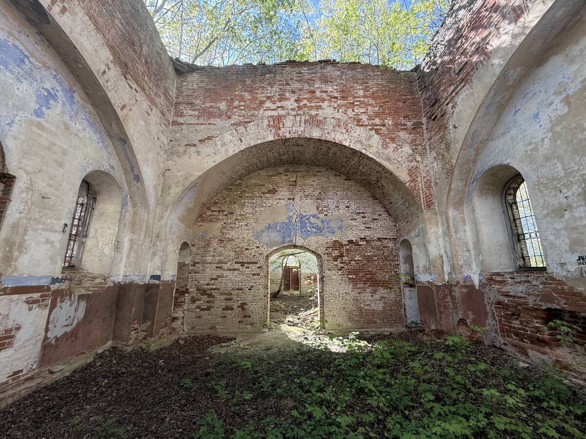 Церковь Георгия Победоносца, Борщёвка (Тула, город, Тульская область). архитектурные детали, Западная стену основного объема
