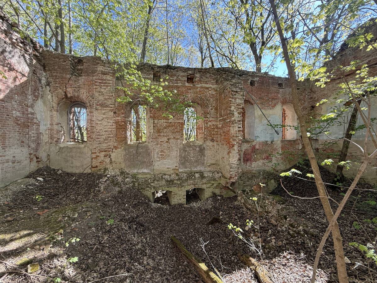Церковь Георгия Победоносца, Борщёвка (Тула, город, Тульская область). архитектурные детали, Южная стена трапезной