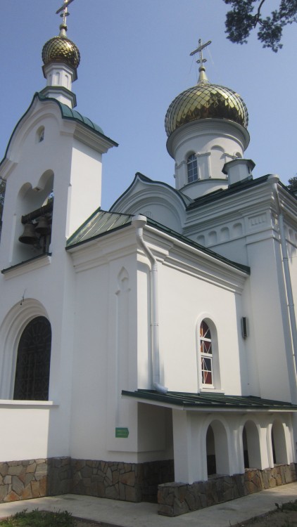 Церковь Ксении Петербургской при городской больнице №21, Пермь (Пермь, город, Пермский край). архитектурные детали, новый храм