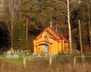 Церковь Пантелеимона Целителя, , Бурга, Маловишерский район, Новгородская область