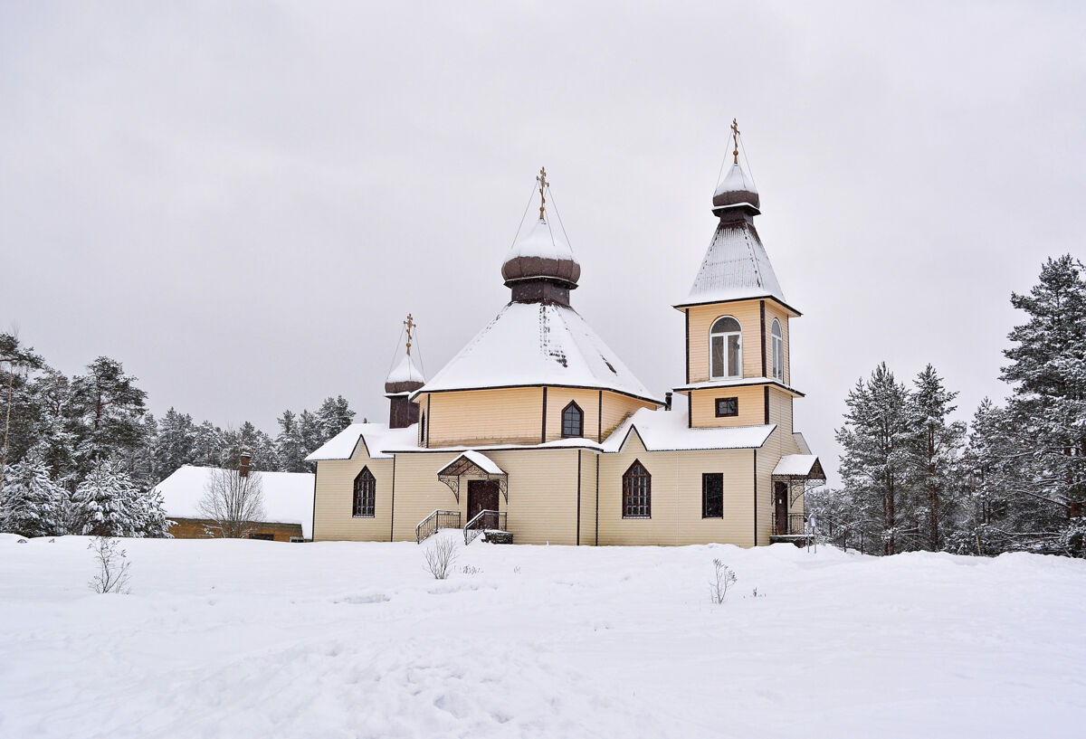 Церковь Михаила Архангела, Боровёнка (Окуловский район, Новгородская область). общий вид в ландшафте