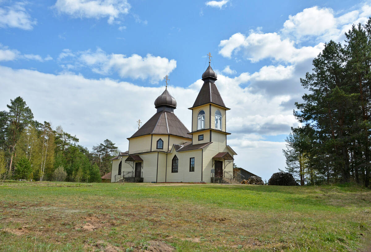 Церковь Михаила Архангела, Боровёнка (Окуловский район, Новгородская область). общий вид в ландшафте