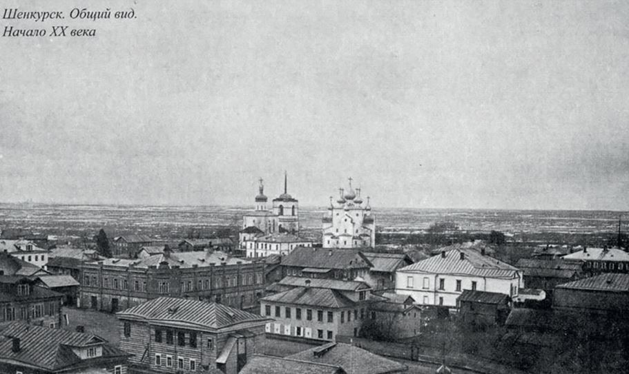 Собор Благовещения Пресвятой Богородицы, Шенкурск (Шенкурский район, Архангельская область). архивная фотография, Фотоснимок с фотографии нач. ХХ века.