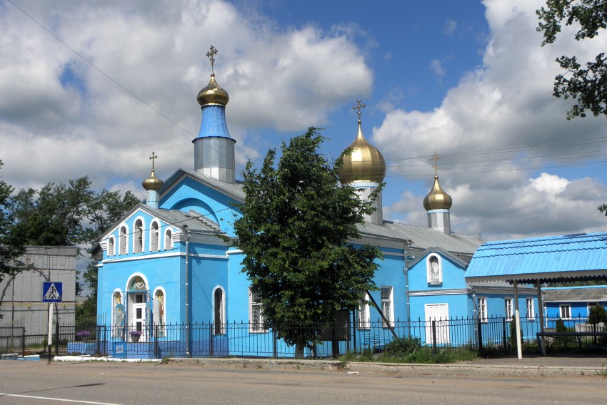 Дедовичи. Церковь Покрова Пресвятой Богородицы. общий вид в ландшафте