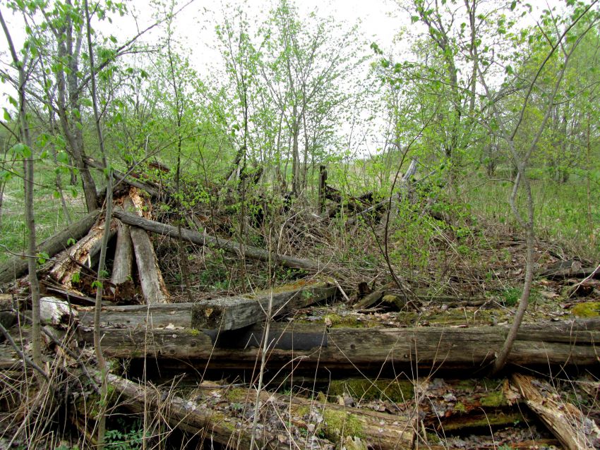 Церковь Рождества Христова, Почеп (Торопецкий район, Тверская область). дополнительная информация, развалины прицерковных построек