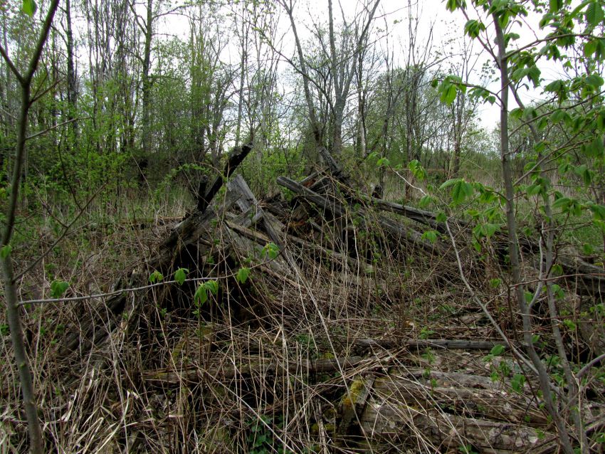 Церковь Рождества Христова, Почеп (Торопецкий район, Тверская область). дополнительная информация, развалины прицерковных построек