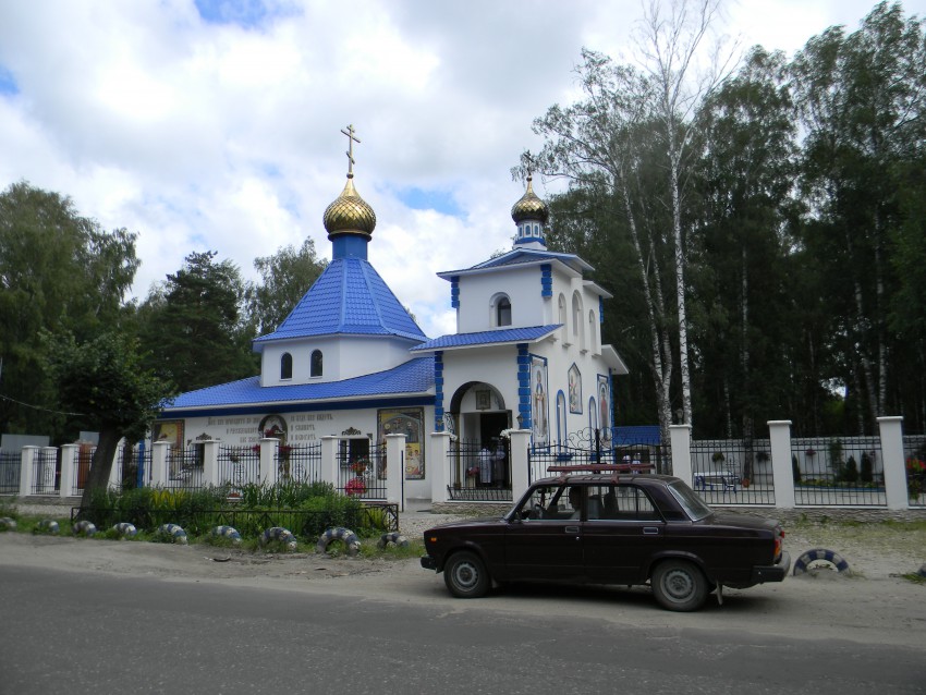 Богородское. Церковь Матроны Московской. общий вид в ландшафте