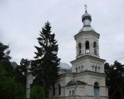 Церковь Сошествия Святого Духа - Толбица - Псковский район - Псковская область