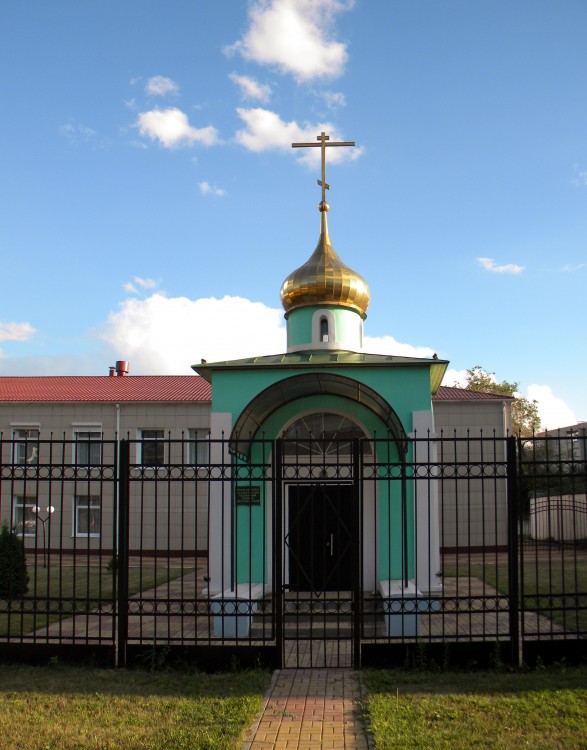 Церковь Ксении Петербургской, Белгород (Белгород, город, Белгородская область). общий вид в ландшафте