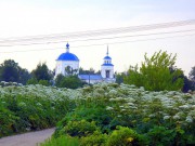 Церковь иконы Божией Матери "Знамение", , Ильинское, Лихославльский район, Тверская область