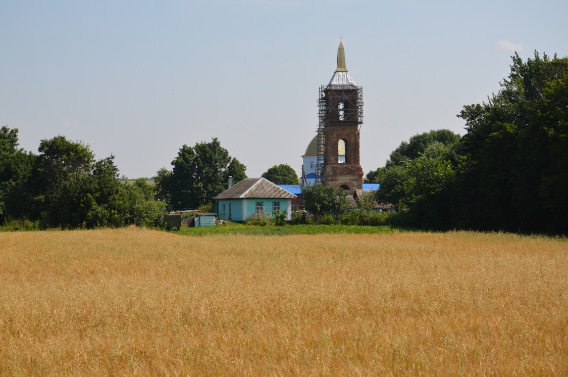 Церковь Покрова Пресвятой Богородицы, Бараново (Ливенский район и г. Ливны, Орловская область). общий вид в ландшафте