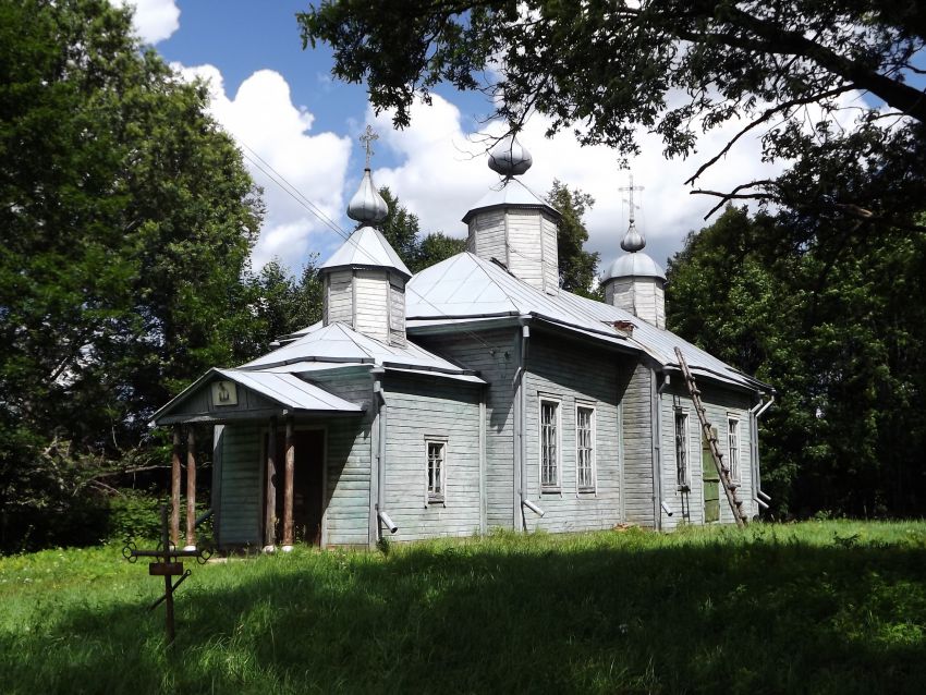 Церковь Введения Пресвятой Богородицы во храм, Докудово (Починковский район, Смоленская область). общий вид в ландшафте