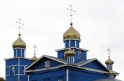 Церковь Покрова Пресвятой Богородицы, Купола храма<br>, Климово, Ибресинский район, Республика Чувашия